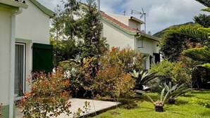 A residential building with a green roof, surrounded by a well-maintained garden with various plants and a lawn. - Casa dos Pais - Garden & Lake I (Ponta Delgada)
