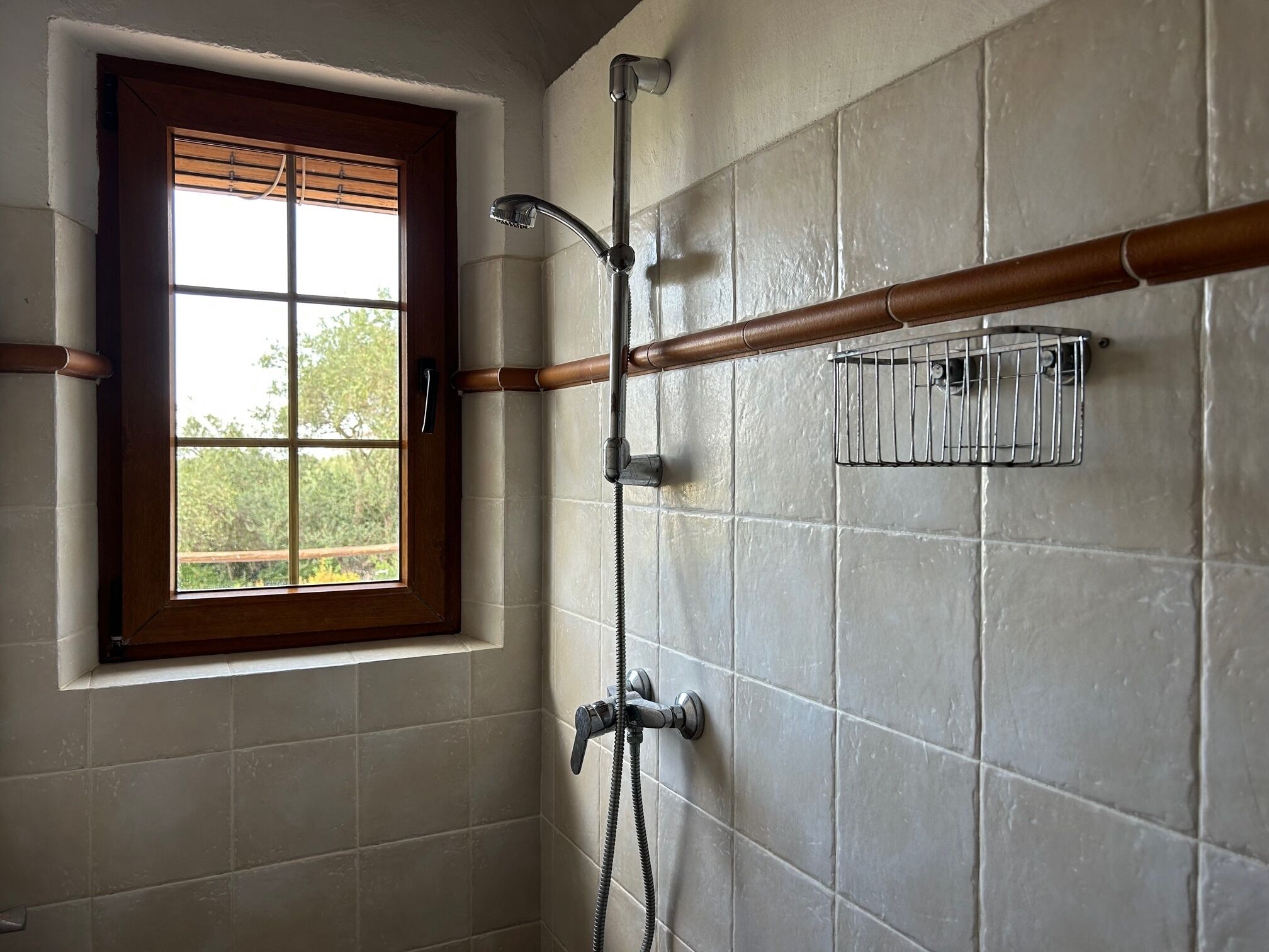 A bathroom with a shower, a window, and a towel rack.