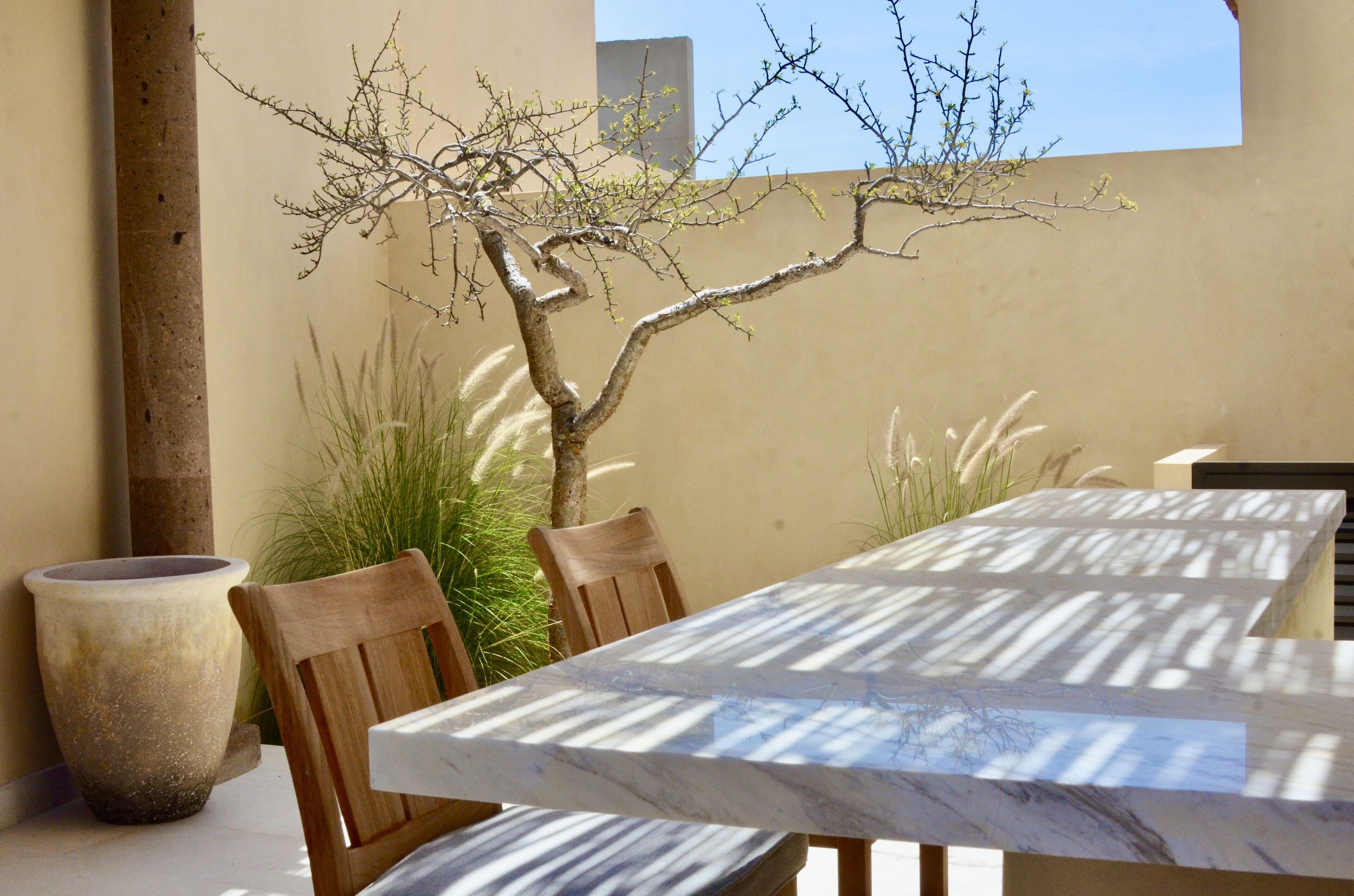 En terrasse med et marmorbord, træstole, en stor plantekasse og et træ.