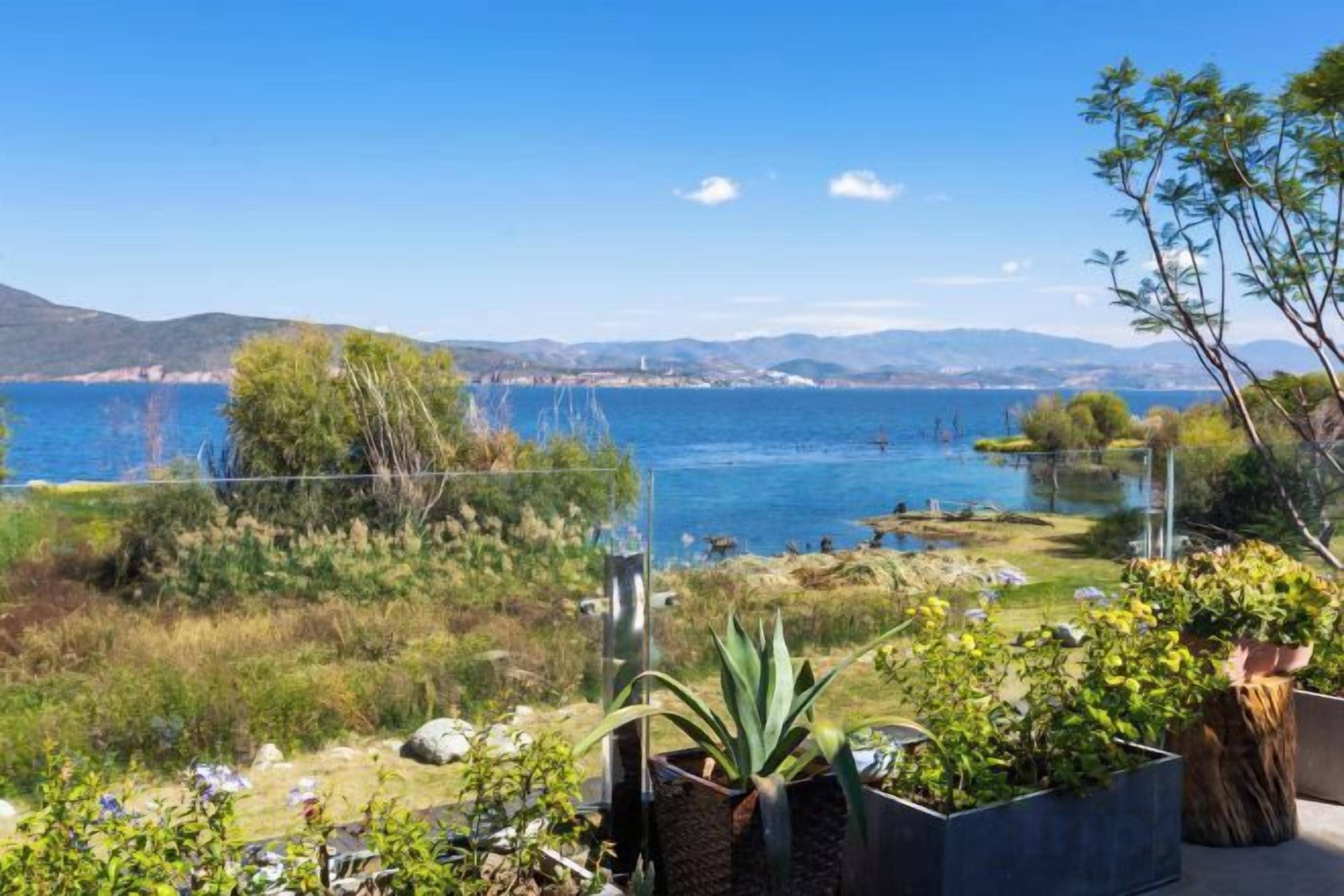 Une propriété située sur la côte, offrant une vue sur la mer, un jardin avec différentes espèces de plantes et un ciel dégagé.