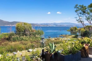 Una propiedad costera con vista al mar, un jardín con diversas plantas y un cielo despejado.