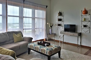 Smart TV, fireplace, books, printers