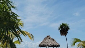 Un muelle de madera que lleva a una estructura de techo de paja en una playa con palmeras.
