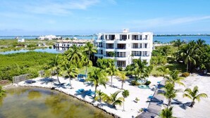 Un hotel de varios pisos con piscina, rodeado de palmeras y una playa.