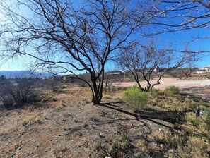 Surrounded by a semi-arid landscape, this property offers a serene natural setting with a prominent tree and distant structures.