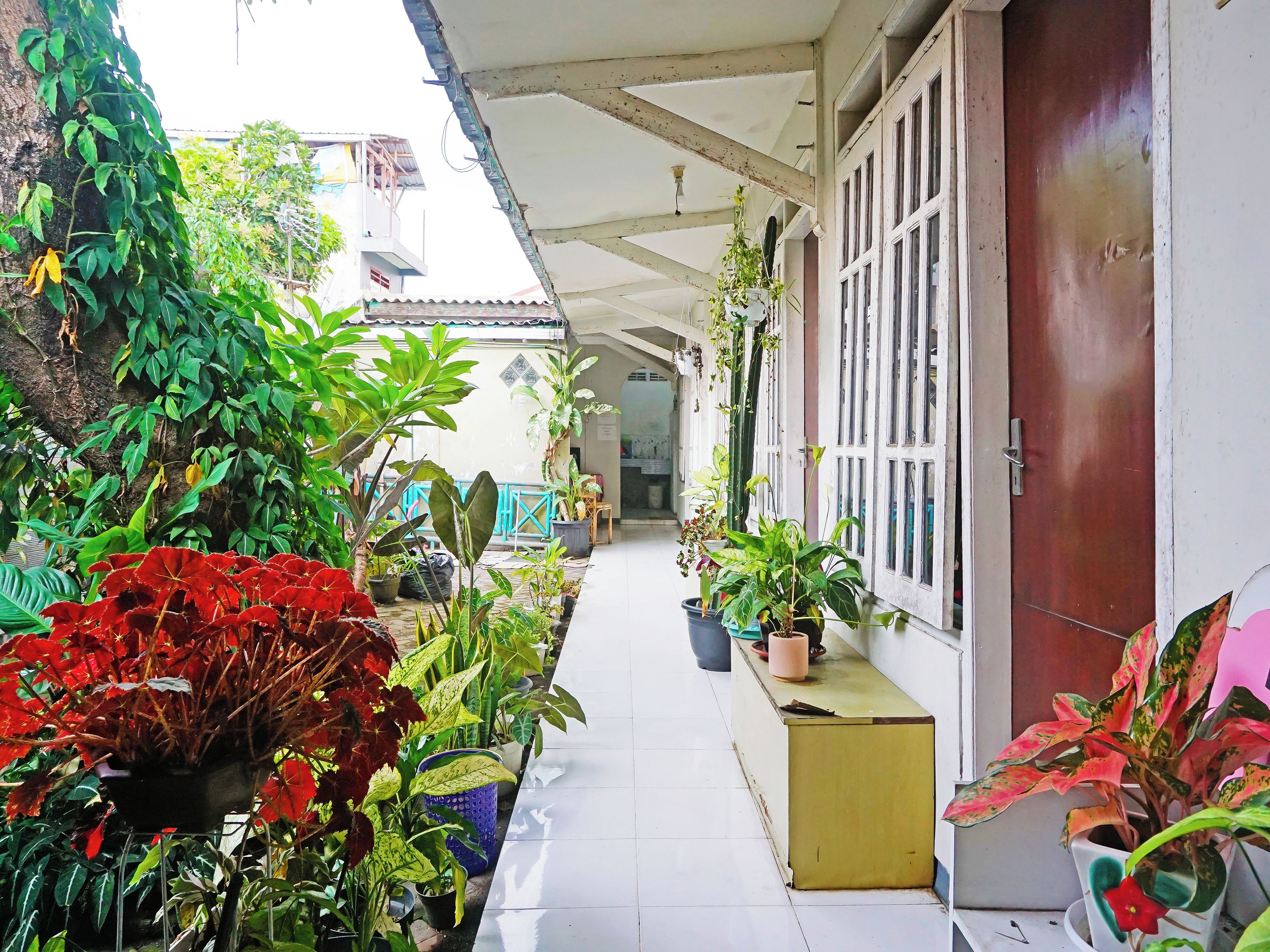 A covered corridor with potted plants, a wooden door, and a tiled floor.