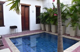 A swimming pool with tiled edges, surrounded by potted plants and a palm tree.
