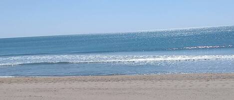 بالقرب من الشاطئ