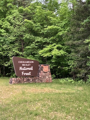 Located near the entrance to Chequamegon-Nicolet National Forest, this serene clearing offers a glimpse into the surrounding natural beauty.