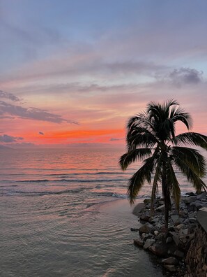 A beach scene with a palm tree and rocky shoreline.