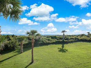 A grassy field with palm trees and a clear blue sky.