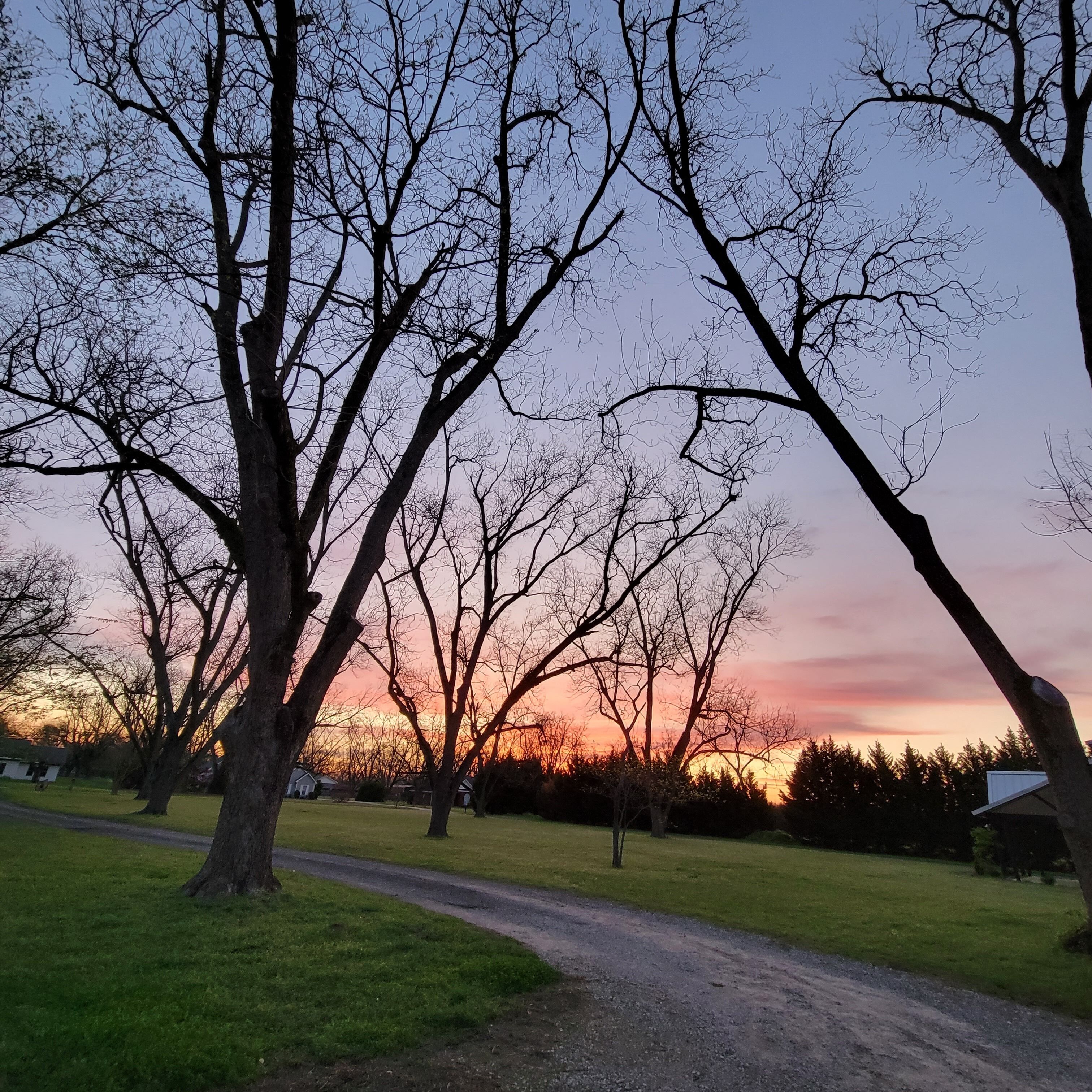 Rocking Chair front porch looking out on sprawling pecan trees filled w/ nature.