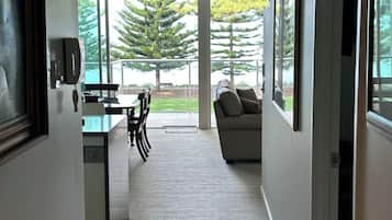 Smart TV, Netflix, DVD player, books