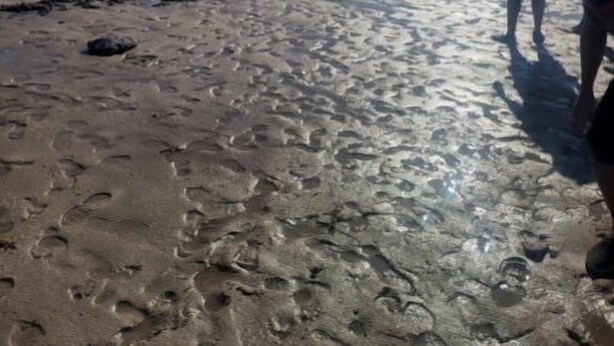 Une plage où l’on voit des gens se promener et jouer dans le sable, sous un ciel dégagé.