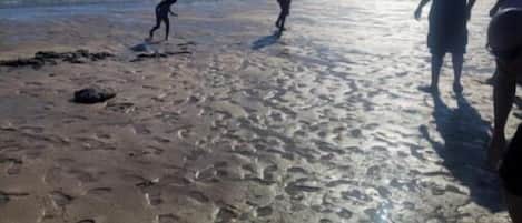 Playa
