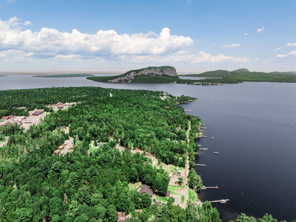 Luftaufnahme einer Küstenlandschaft mit dichtem Wald, einer kleinen Insel und blauem Himmel.