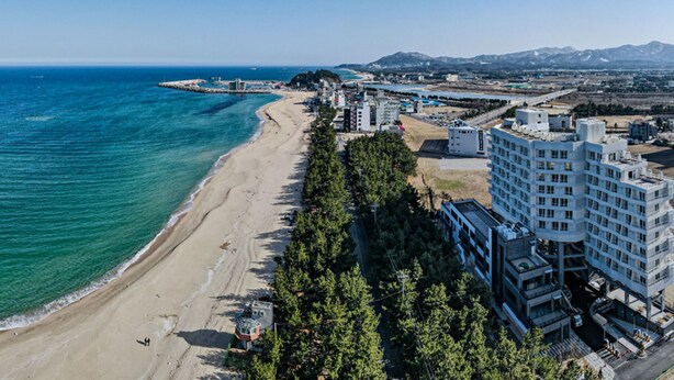 An aerial view of a coastal area with a beach, buildings, and a mountainous background. - PINEART LABEL (Gangneung)
