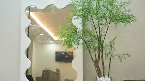 Un interior moderno con un espejo ondulado singular, un árbol en maceta y un diseño minimalista.