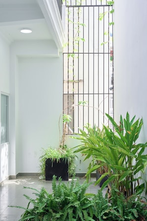 Vườn