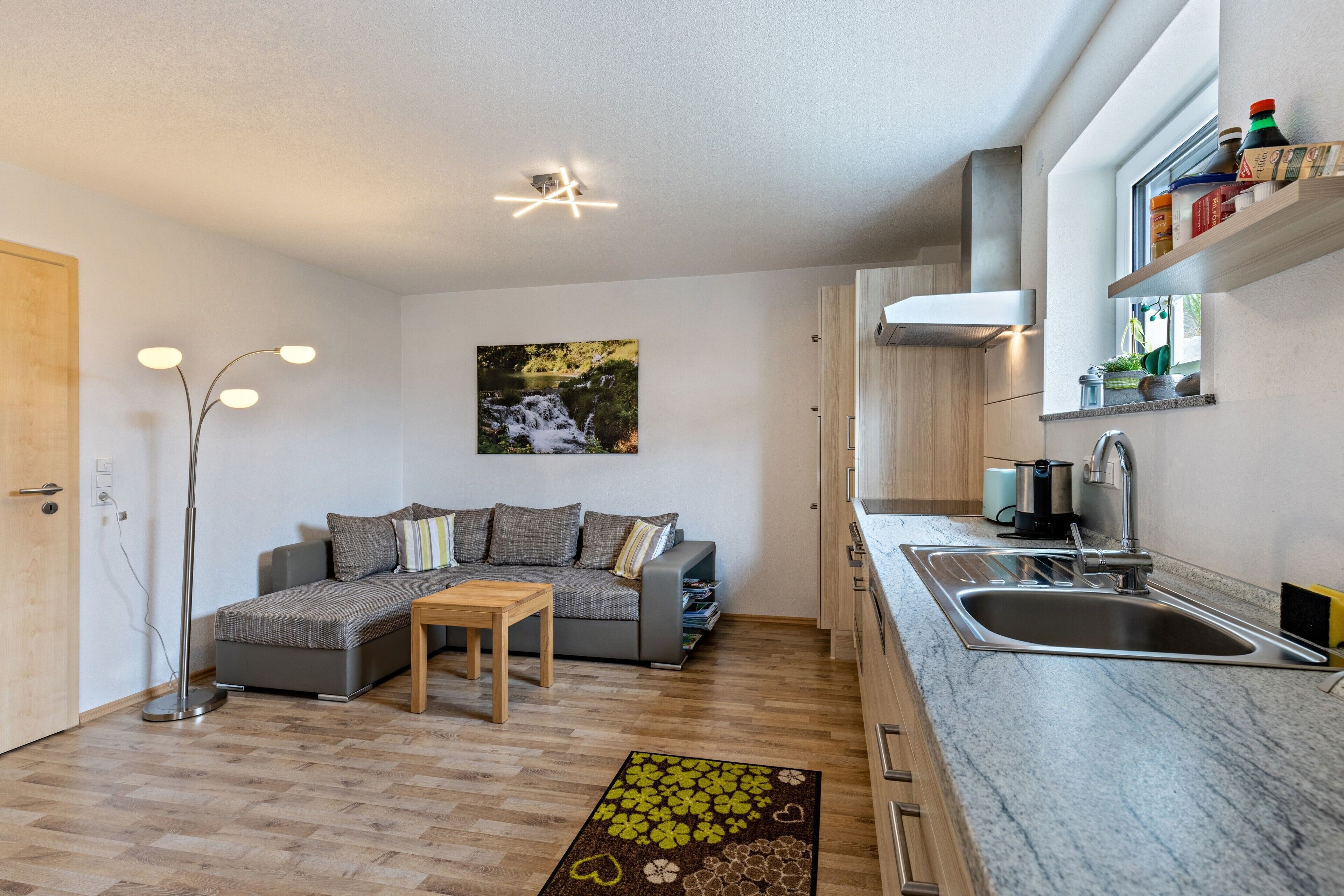 A compact living space with a sofa, a small table, a kitchen area with a sink and countertop, and a ceiling light fixture.