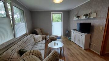 Smart-TV, DVD-Player, Bücher, Stereoanlage