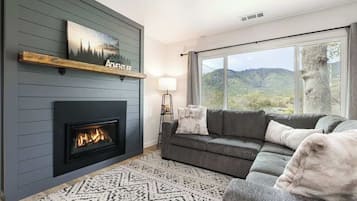 TV, fireplace, books, offices