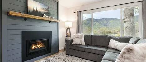 TV, fireplace, books, offices