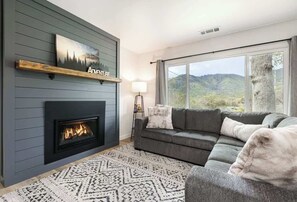 TV, fireplace, books, offices