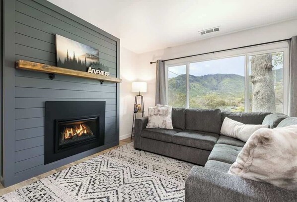 TV, fireplace, books, offices
