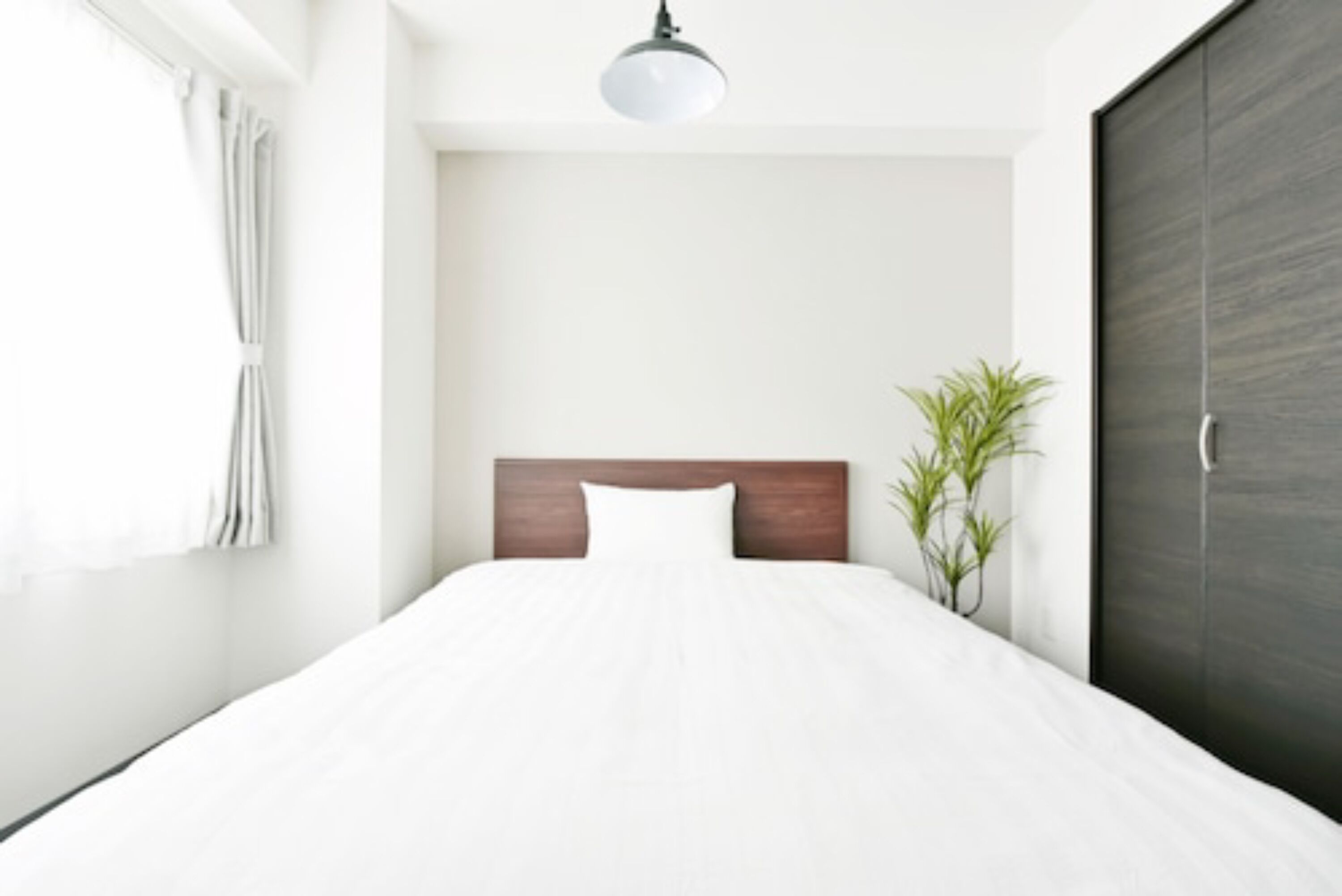 Une chambre d’hôtel moderne avec un grand lit, une tête de lit en bois, une plante en pot et une armoire sombre.