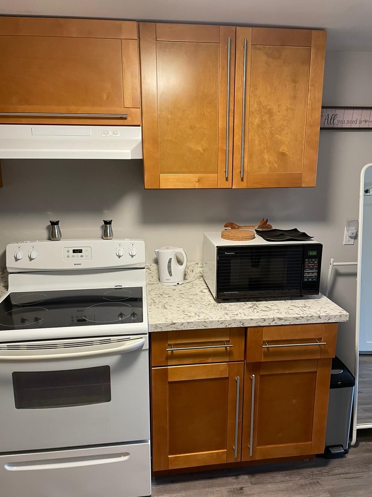 Amazing Basement Apartment in Richmondhill