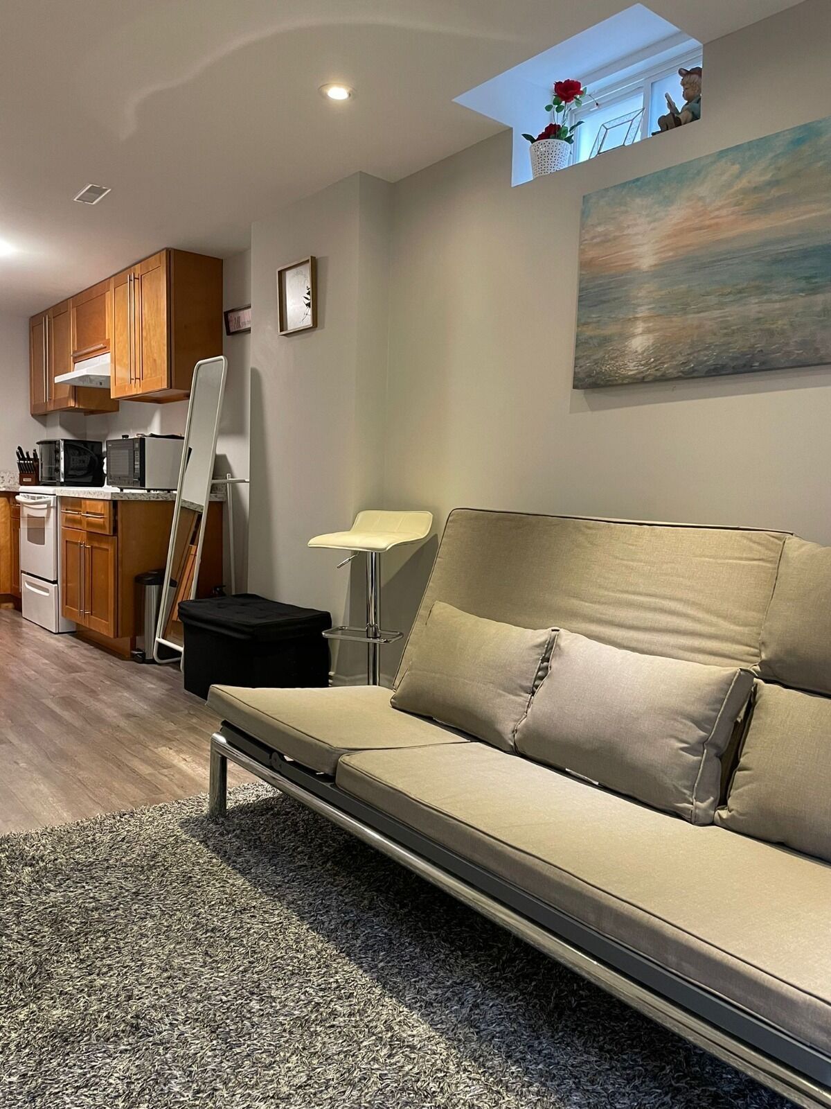 Amazing Basement Apartment in Richmondhill