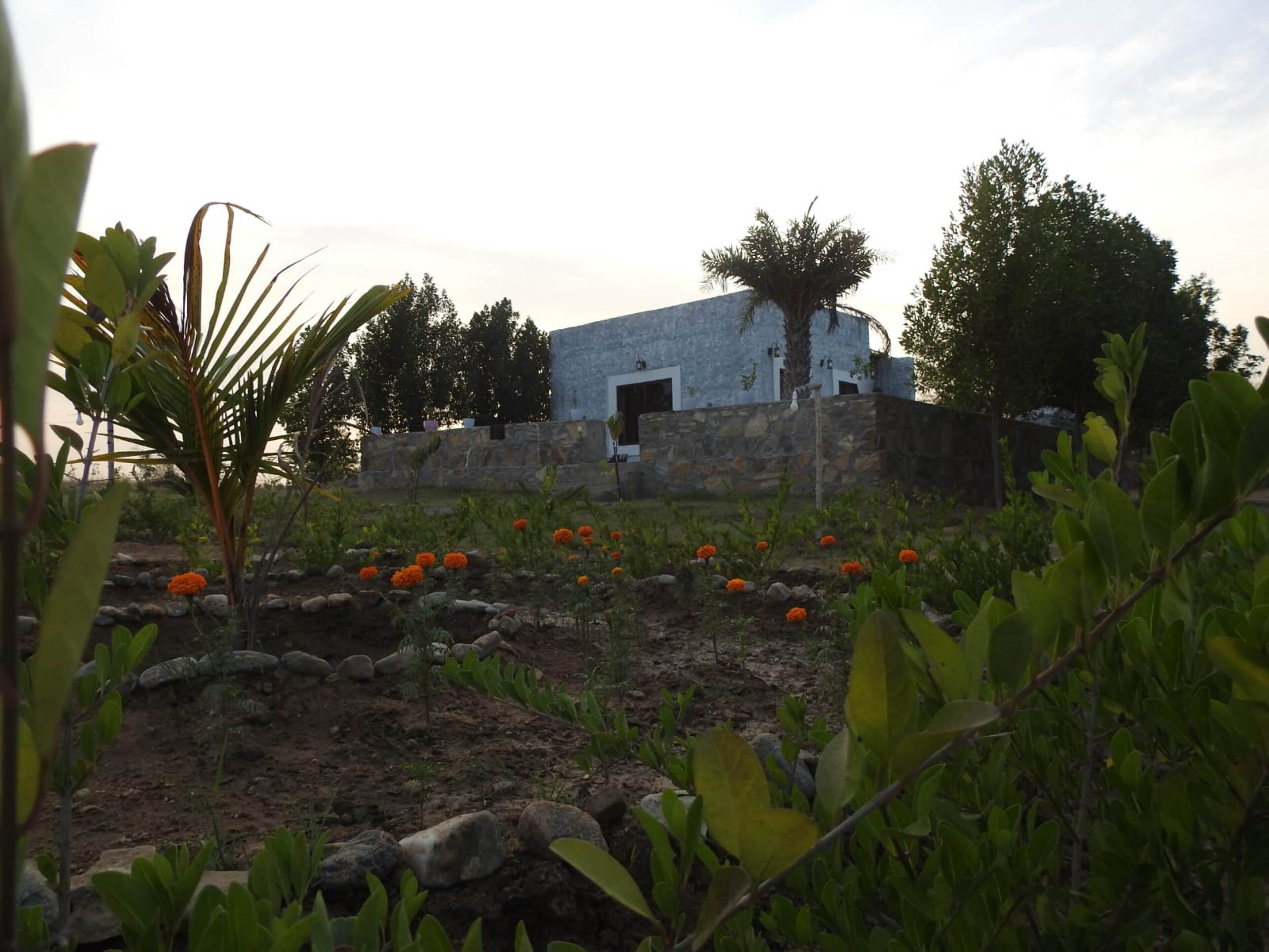 A stone building with a flat roof, surrounded by a garden with orange flowers and green plants.