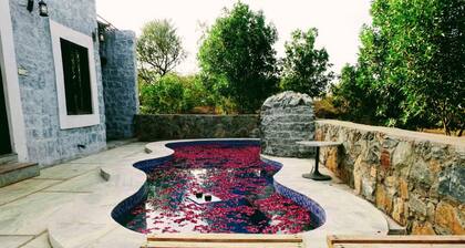 Jawai Wildlife Safari Camp