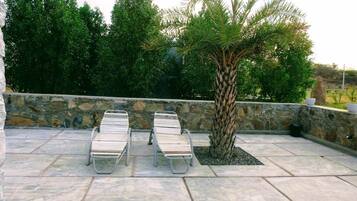 A stone patio with two lounge chairs and a palm tree.