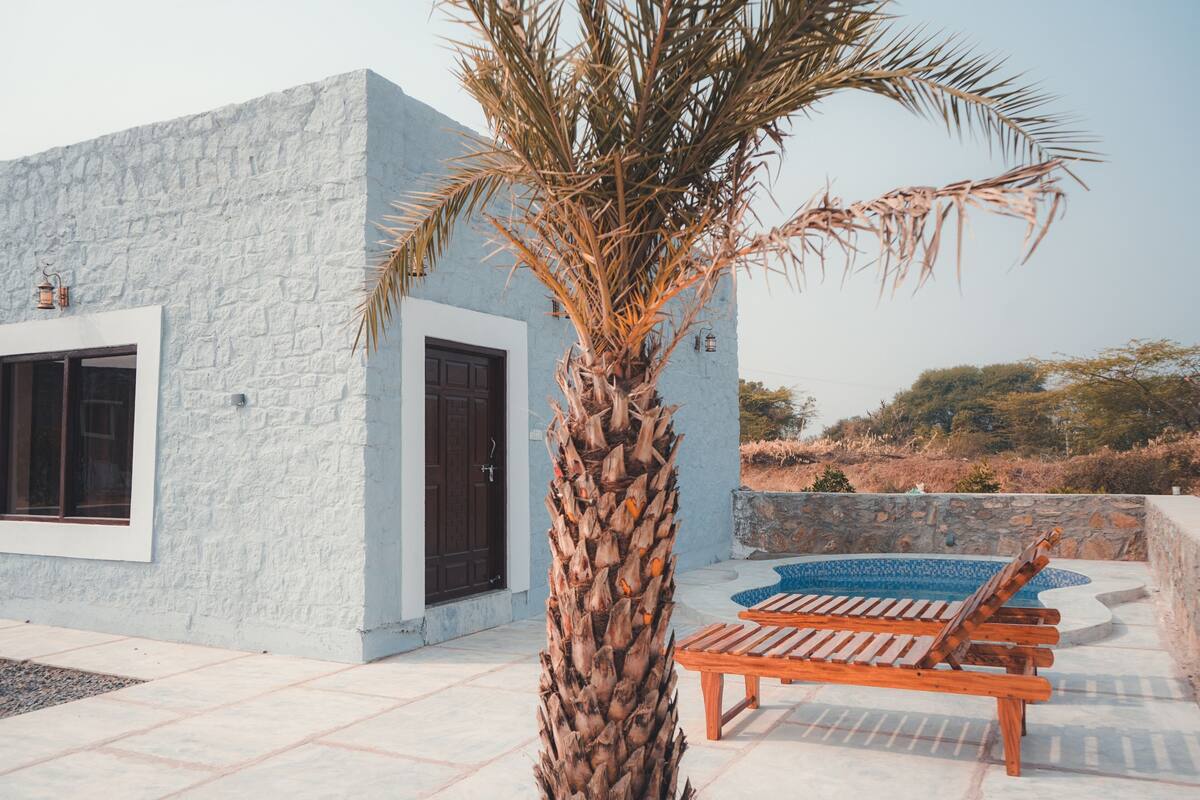 Un edificio moderno con fachada de piedra, una palmera y un área de piscina con sillas de descanso.