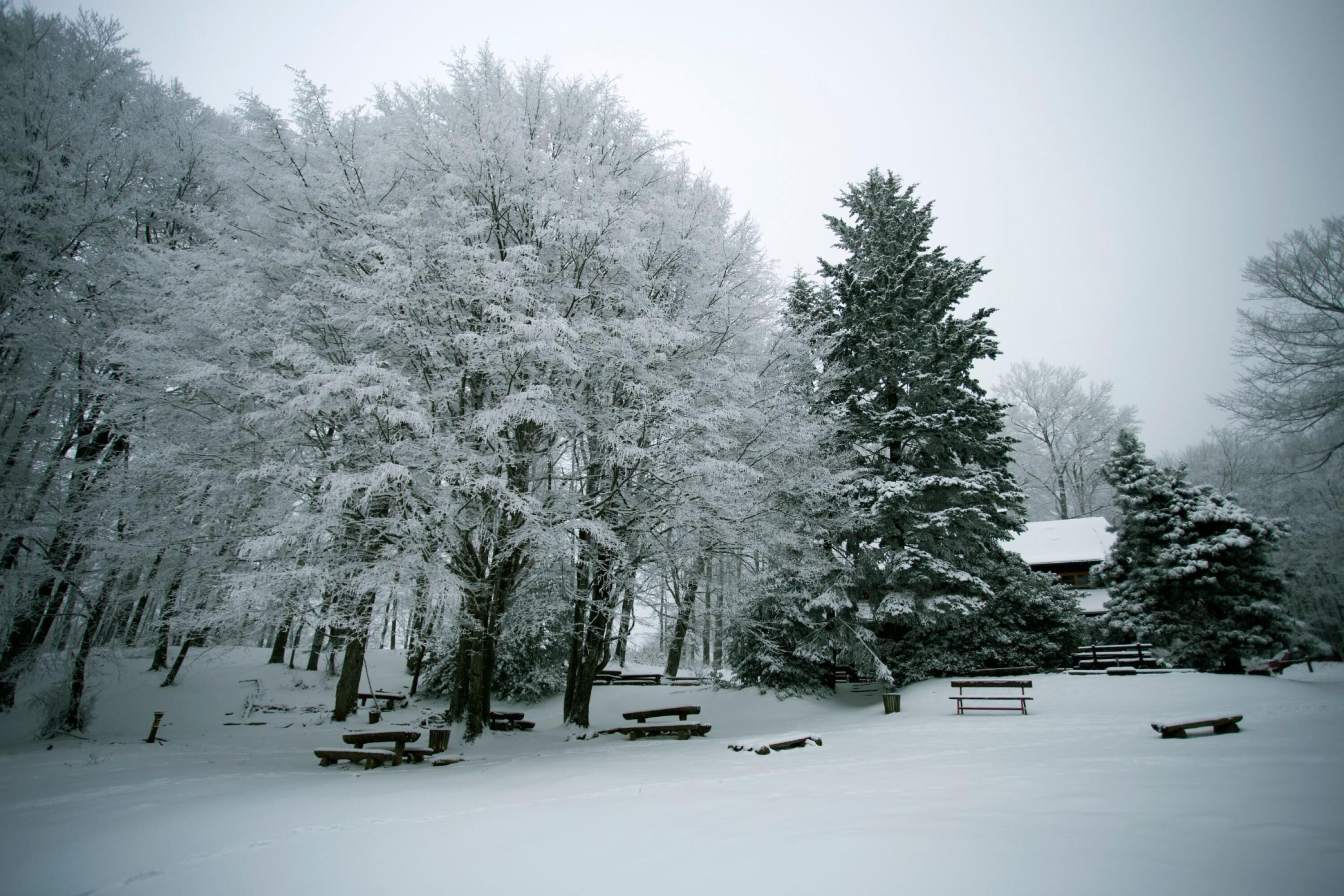 雪地及滑雪運動