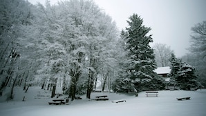 Snow and ski sports - Green Hill Zagreb - Apartment Zen (Zagreb)