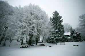 Deportes de invierno y ski