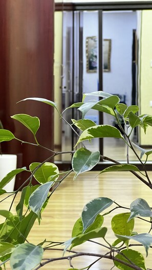 A plant with variegated leaves in a room with a wooden floor and a door in the background. - Hayot hostel (Tashkent)