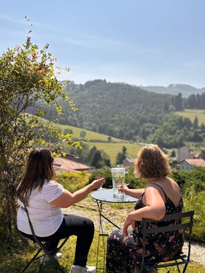 Exterior - Domaine de la Rue de la Tour SAS (Valsonne)