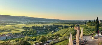 คัสตรัม ไวน์ เรเลส