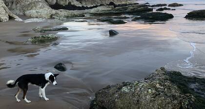 Pet friendly "Home from Home" with sea view near the Giant's Causeway