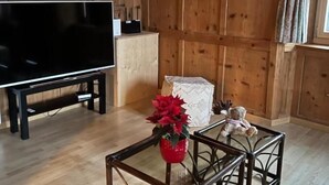 A wooden-paneled room with a large flat-screen TV on a stand, a small table with a red flower, and a teddy bear. - Gasthaus Alpina Salouf (Surses)