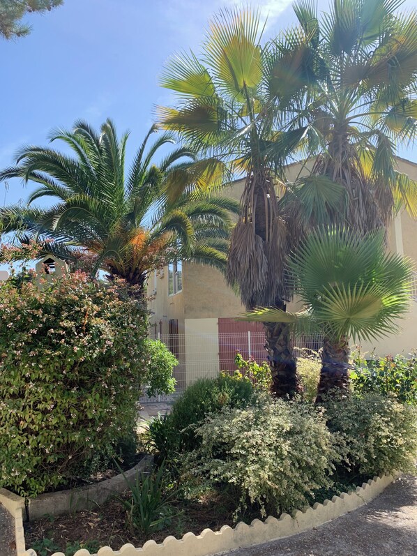 Property grounds - SPACIOUS TOP OF VILLA (Appietto)