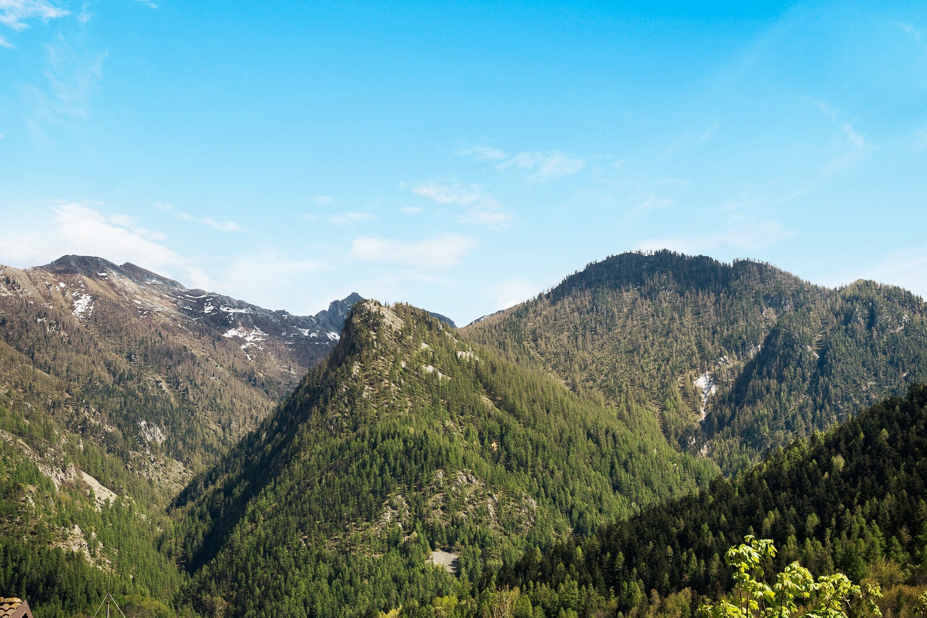 Een bergachtig landschap met dichte bossen en een heldere lucht.