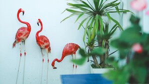 En væg med et mural af en flamingo og en hængende lampe.