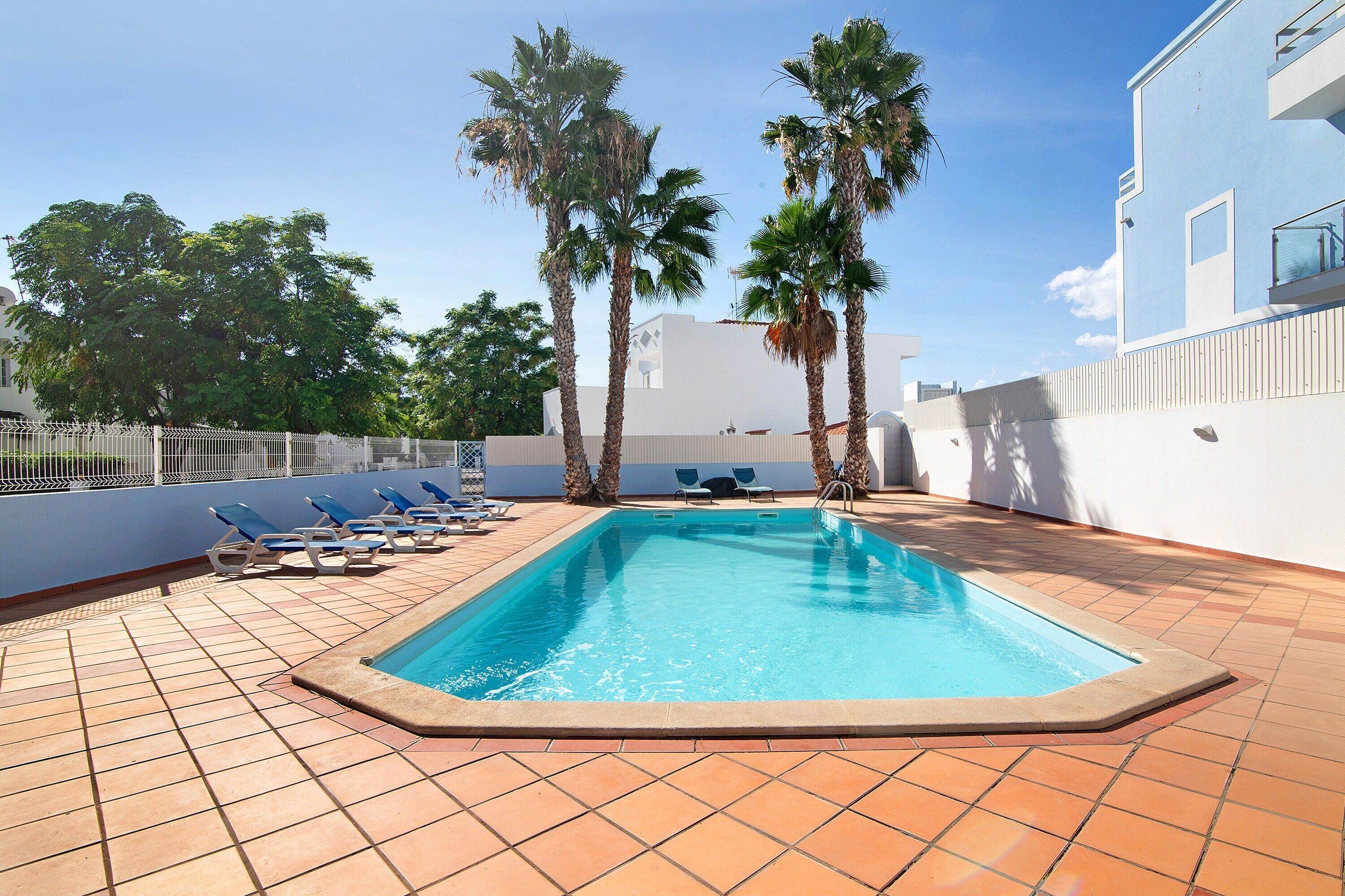 Uma piscina com deck revestido, palmeiras e espreguiçadeiras.