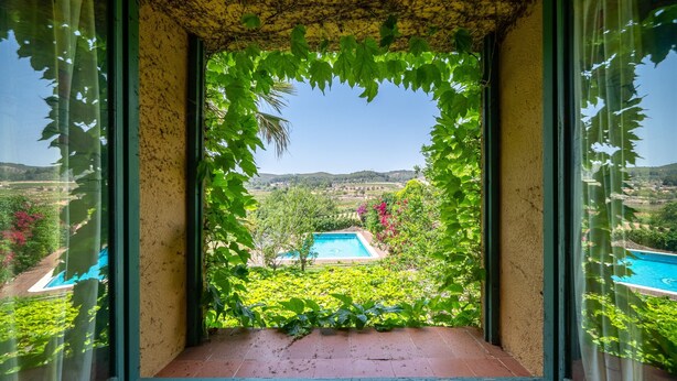 Blick durch ein Fenster auf einen von Grünpflanzen umgebenen Swimmingpool.