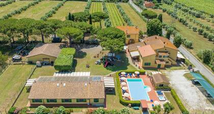 Farmhouse "Il Pino - Olivo" with Shared Pool, Private Terrace & Wi-Fi